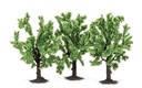 Fruit Trees (2)