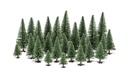 Hobby' Fir Trees (1)