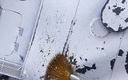 Chipping and Scratching Agent - (20ml) (4)