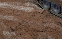 Smart Mud (Diorama Texturing) - (200ml) (6)
