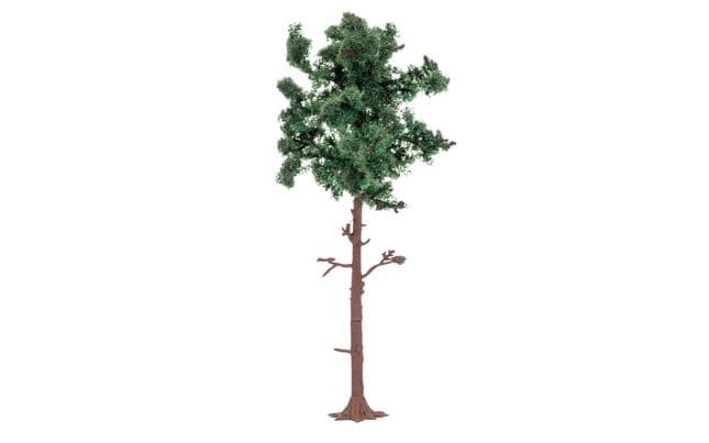 Large Pine Tree (2)