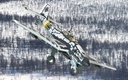Junkers Ju-87B-2 Stuka - 'Ghost Bones' (1)