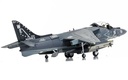McDonnell Douglas AV-8B Harrier II Plus - 165001/01 - VMA-214 'Black Sheep' (7)