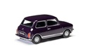 Mini 1275GT, Black Tulip (2)
