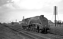 BR, Rebuilt Class W1, 4-6-4, 60700 - Era 4 (4)
