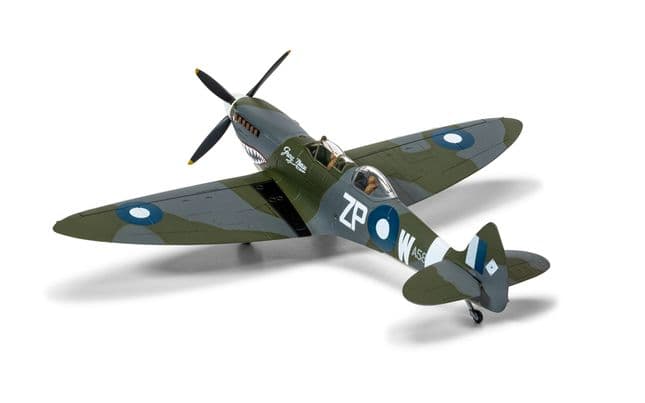 Supermarine Spitfire T.9 'Grey Nurse'- TE308 - Biggin Hill Heritage Hangar (4)