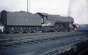 BR, Thompson Class A2/2, 4-6-2, 60501 'Cock O' the North' - Era 4 (2)