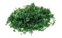 Flock - Dark Green (1)
