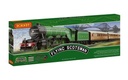Flying Scotsman Train Set - Euro 2 pin plug (6)