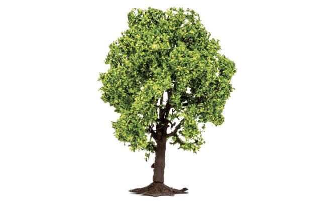 Fruit Tree (2)