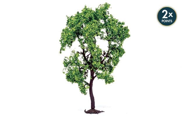 Pear Tree (1)