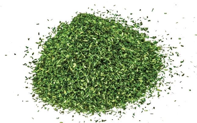 Scatter - Dark Green (2)