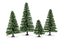 Small Fir Trees (2)