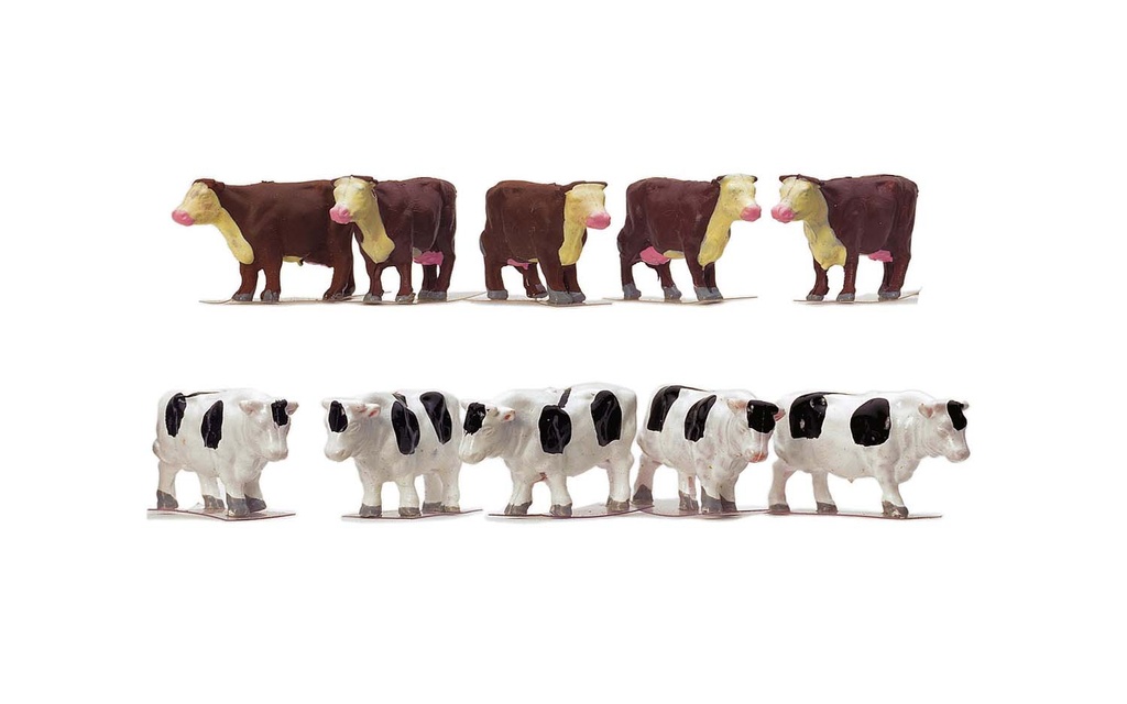 vacas