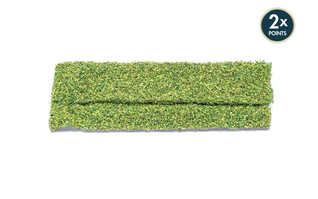 Follaje – pradera verde medio