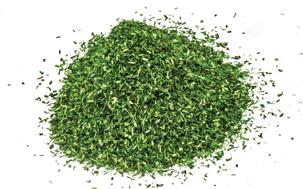 Césped esparcido – Verde oscuro
