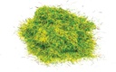 Hierba estÃ¡tica - Prado de la primavera, de 2,5 mm