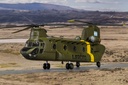 Boeing CH-47C Chinook ‚Äì Argentine Army ‚Äì Captured by British Army