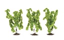 Birch Trees - 3x Pieces