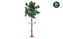 Large Pine Tree