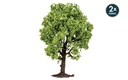 Albero da frutto