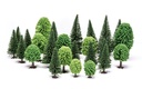 Alberi misti Hobby (latifoglie e abeti)