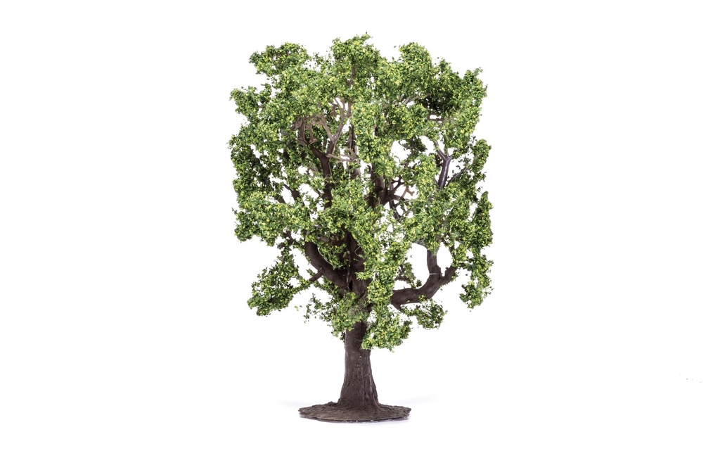 Oak Tree