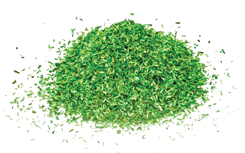 Scatter - Medium Green
