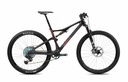 LYNX RACE 8.1