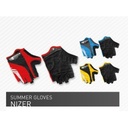 NIZER