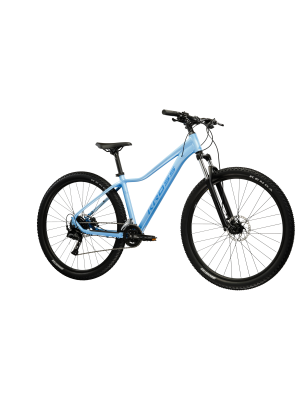 LEA X300 (DS(15")27)